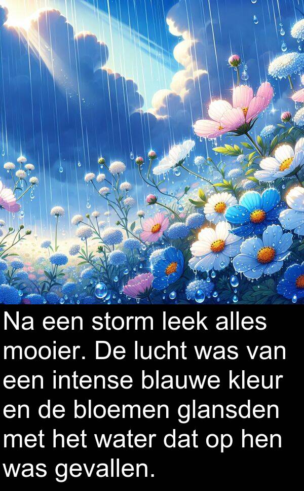 gevallen: Na een storm leek alles mooier. De lucht was van een intense blauwe kleur en de bloemen glansden met het water dat op hen was gevallen.