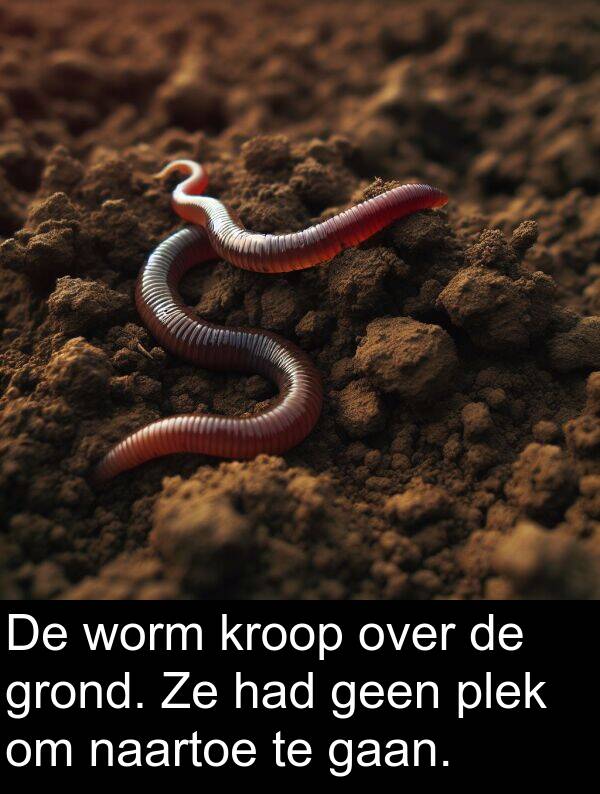 grond: De worm kroop over de grond. Ze had geen plek om naartoe te gaan.