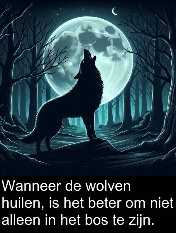 bos: Wanneer de wolven huilen, is het beter om niet alleen in het bos te zijn.