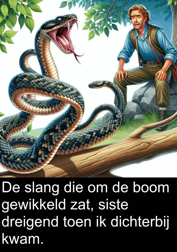 gewikkeld: De slang die om de boom gewikkeld zat, siste dreigend toen ik dichterbij kwam.