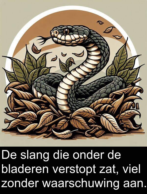 bladeren: De slang die onder de bladeren verstopt zat, viel zonder waarschuwing aan.