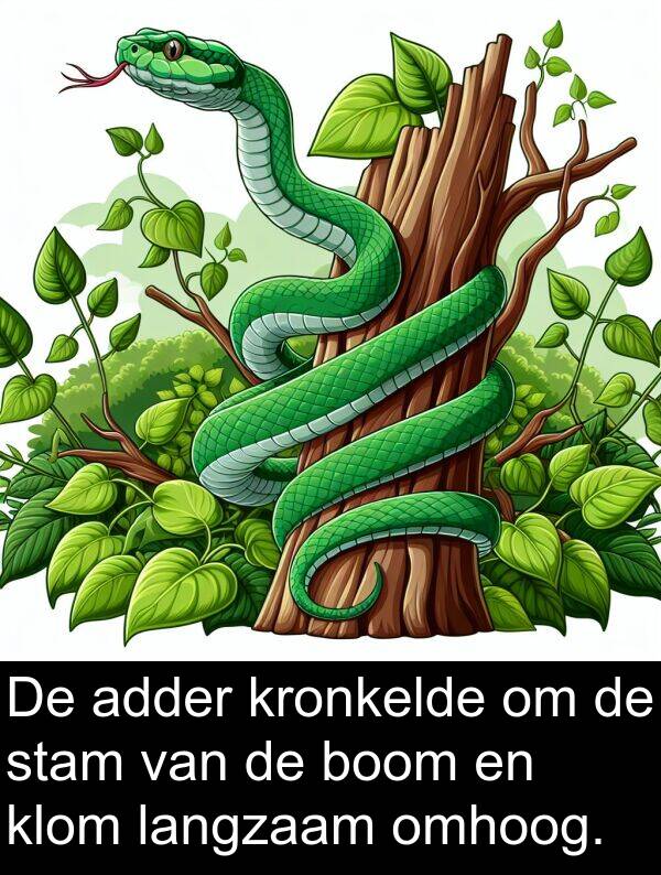 stam: De adder kronkelde om de stam van de boom en klom langzaam omhoog.
