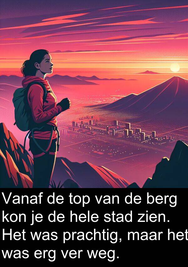 ver: Vanaf de top van de berg kon je de hele stad zien. Het was prachtig, maar het was erg ver weg.