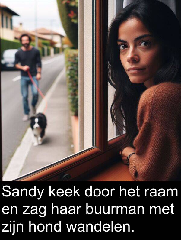 zag: Sandy keek door het raam en zag haar buurman met zijn hond wandelen.
