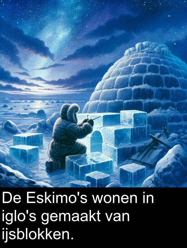 wonen: De Eskimo's wonen in iglo's gemaakt van ijsblokken.