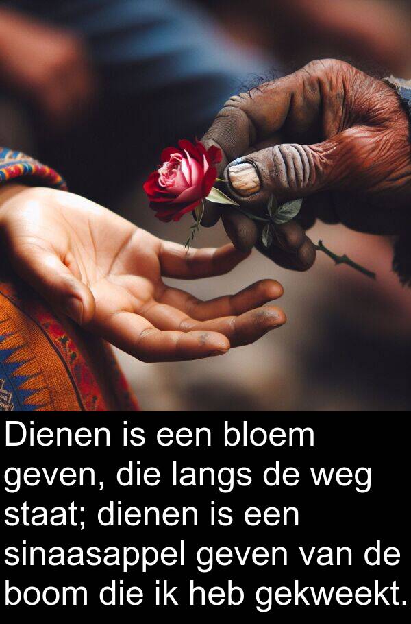 gekweekt: Dienen is een bloem geven, die langs de weg staat; dienen is een sinaasappel geven van de boom die ik heb gekweekt.
