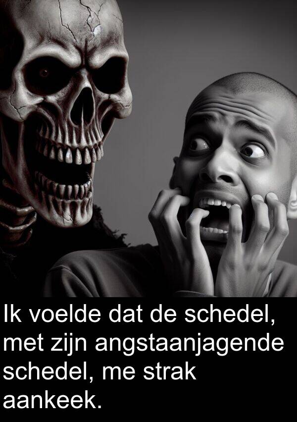 schedel: Ik voelde dat de schedel, met zijn angstaanjagende schedel, me strak aankeek.