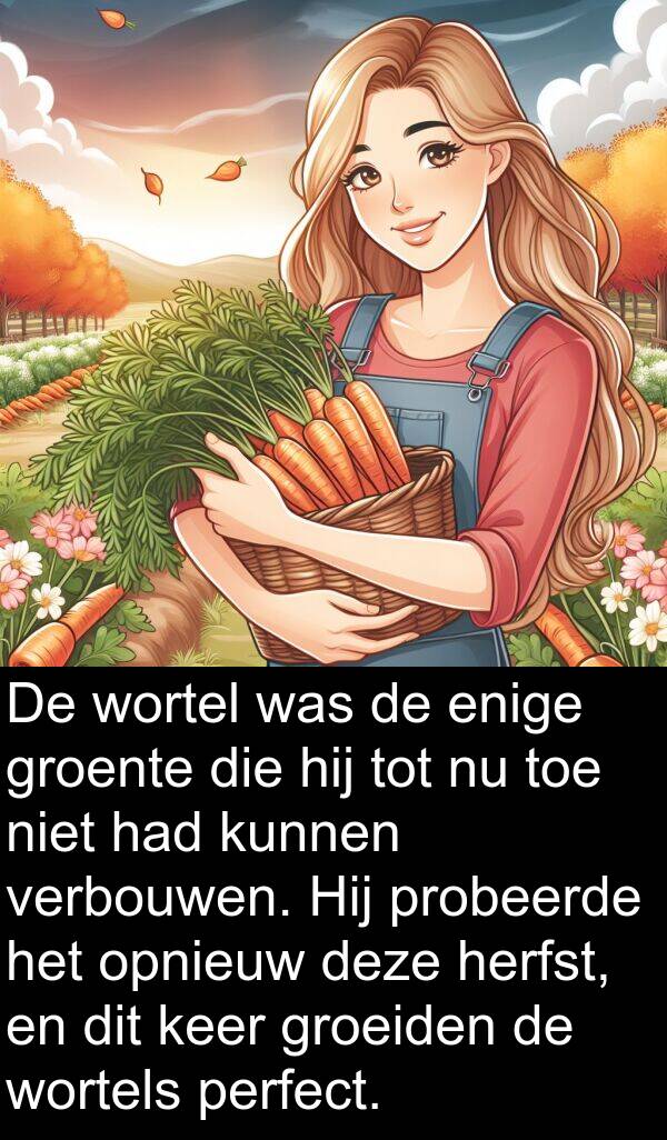 groente: De wortel was de enige groente die hij tot nu toe niet had kunnen verbouwen. Hij probeerde het opnieuw deze herfst, en dit keer groeiden de wortels perfect.
