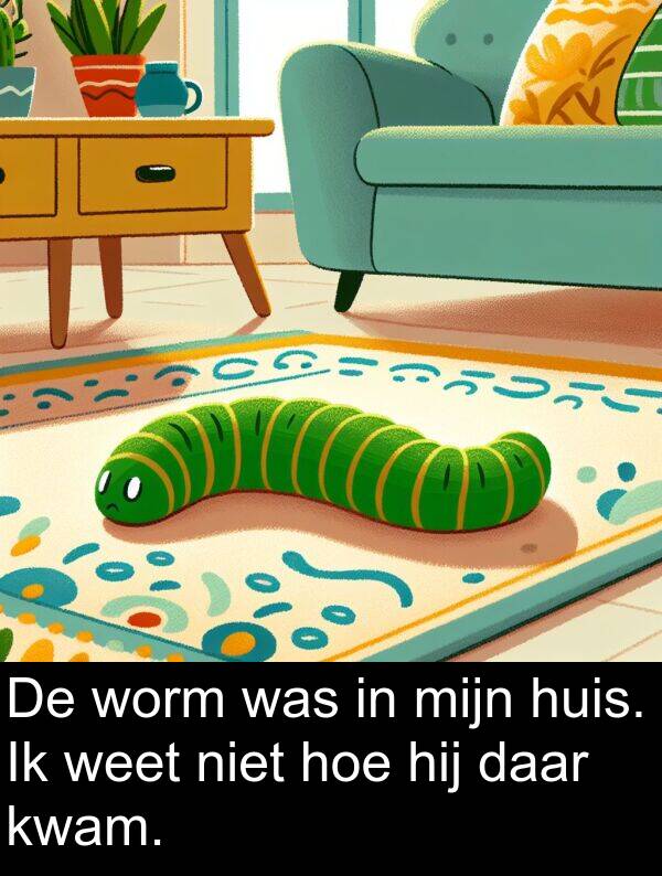 hoe: De worm was in mijn huis. Ik weet niet hoe hij daar kwam.