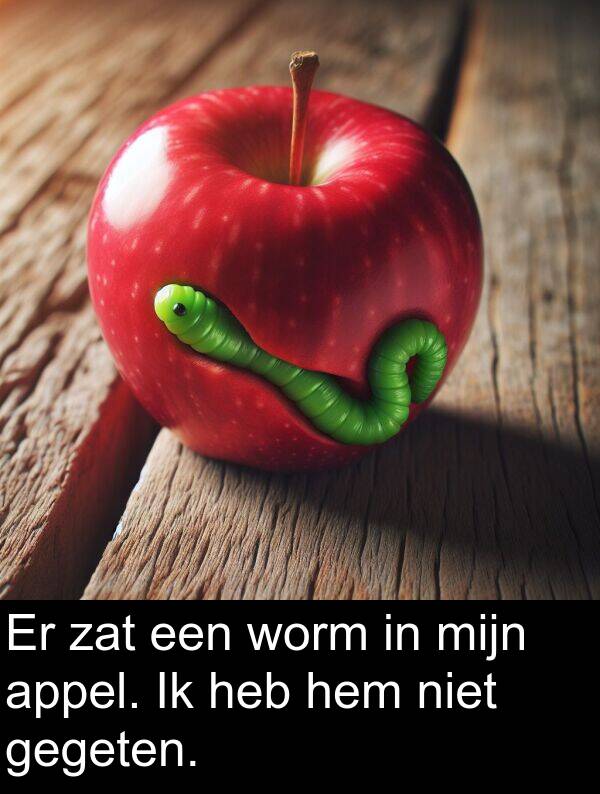 zat: Er zat een worm in mijn appel. Ik heb hem niet gegeten.