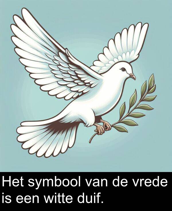 duif: Het symbool van de vrede is een witte duif.