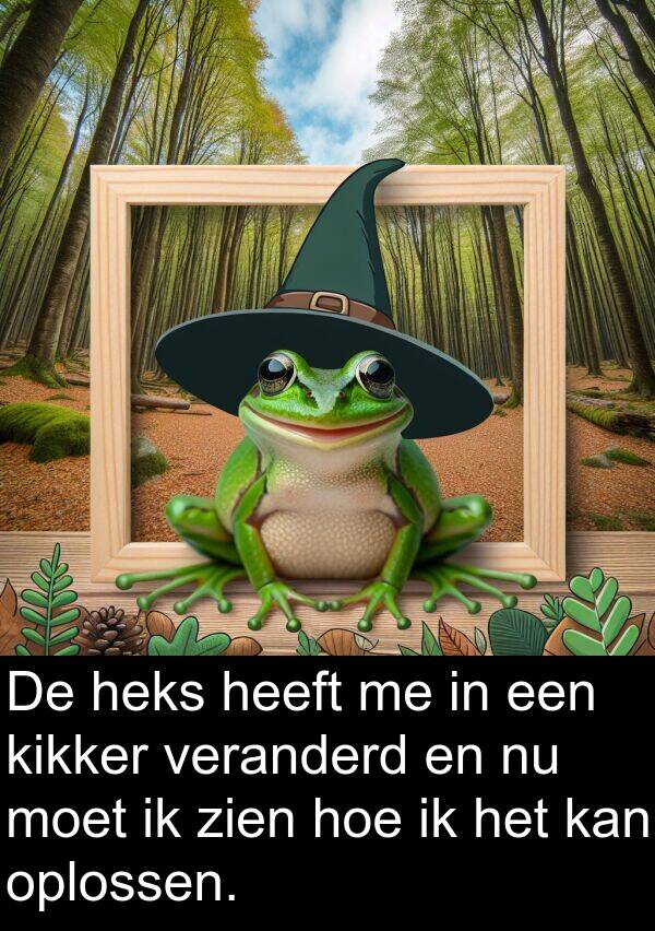 veranderd: De heks heeft me in een kikker veranderd en nu moet ik zien hoe ik het kan oplossen.