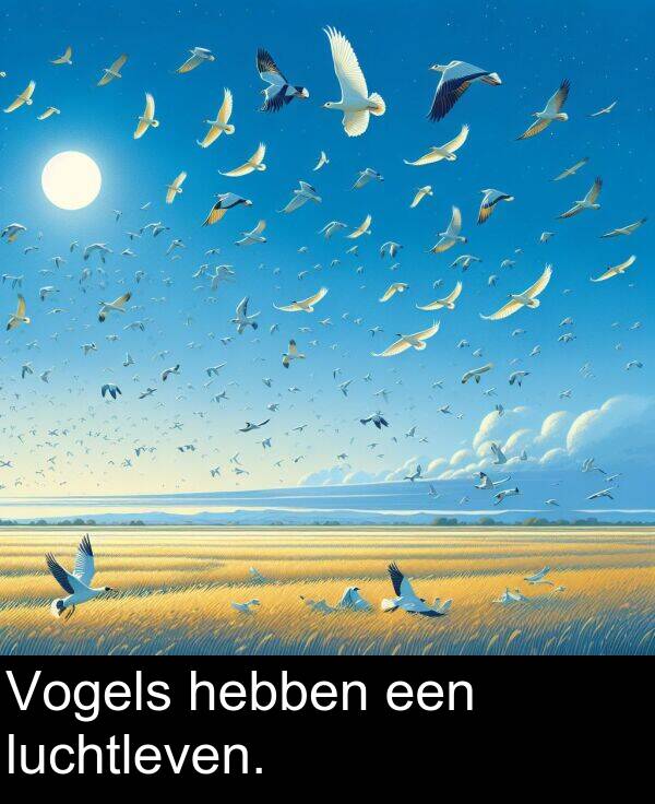 luchtleven: Vogels hebben een luchtleven.