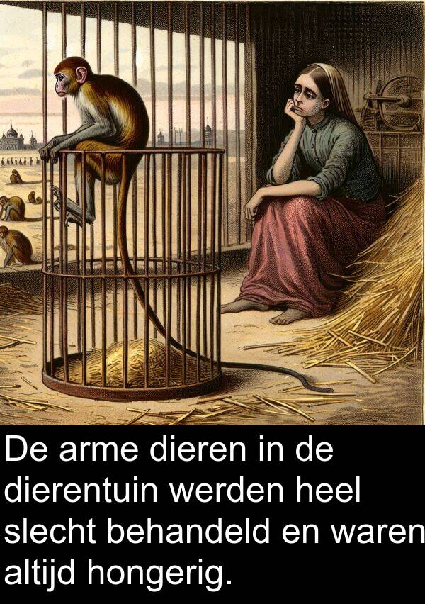 heel: De arme dieren in de dierentuin werden heel slecht behandeld en waren altijd hongerig.