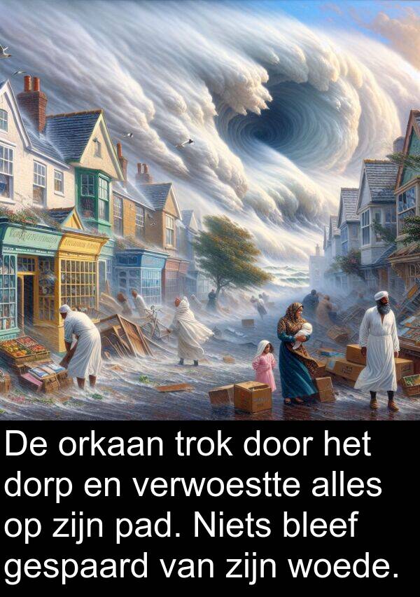dorp: De orkaan trok door het dorp en verwoestte alles op zijn pad. Niets bleef gespaard van zijn woede.
