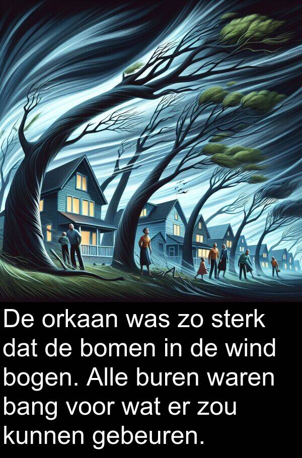 sterk: De orkaan was zo sterk dat de bomen in de wind bogen. Alle buren waren bang voor wat er zou kunnen gebeuren.