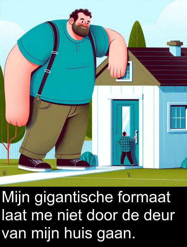 gigantische: Mijn gigantische formaat laat me niet door de deur van mijn huis gaan.