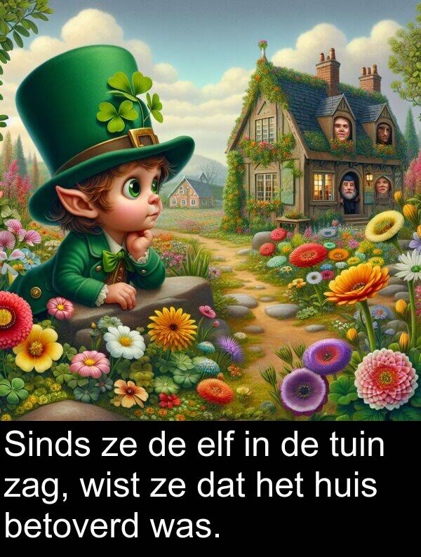 tuin: Sinds ze de elf in de tuin zag, wist ze dat het huis betoverd was.