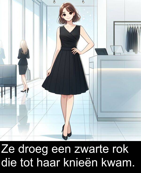 droeg: Ze droeg een zwarte rok die tot haar knieën kwam.