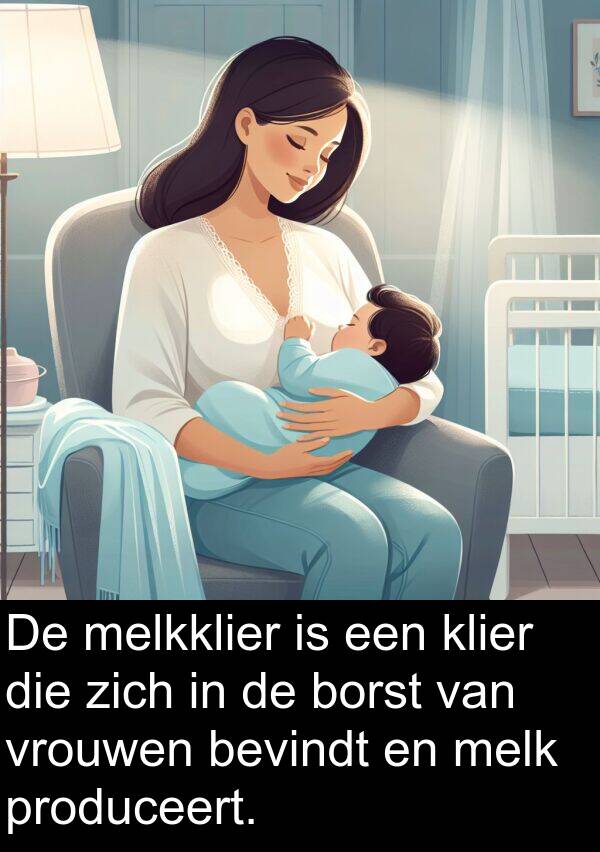 produceert: De melkklier is een klier die zich in de borst van vrouwen bevindt en melk produceert.