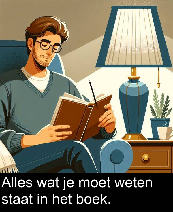 boek: Alles wat je moet weten staat in het boek.