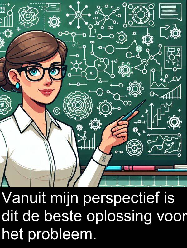 beste: Vanuit mijn perspectief is dit de beste oplossing voor het probleem.