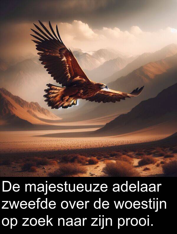 zweefde: De majestueuze adelaar zweefde over de woestijn op zoek naar zijn prooi.