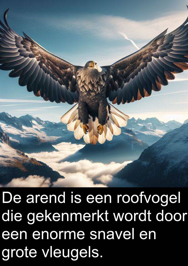 gekenmerkt: De arend is een roofvogel die gekenmerkt wordt door een enorme snavel en grote vleugels.