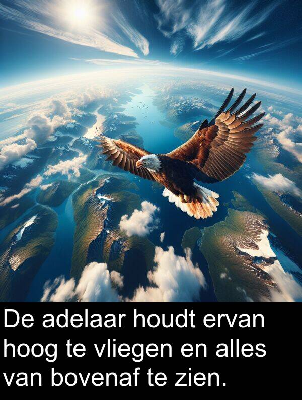 bovenaf: De adelaar houdt ervan hoog te vliegen en alles van bovenaf te zien.
