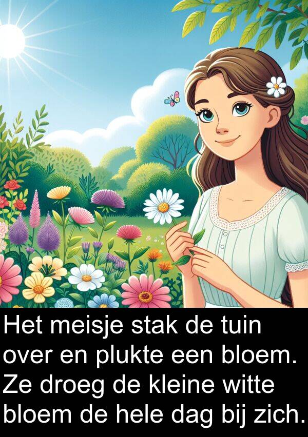 droeg: Het meisje stak de tuin over en plukte een bloem. Ze droeg de kleine witte bloem de hele dag bij zich.