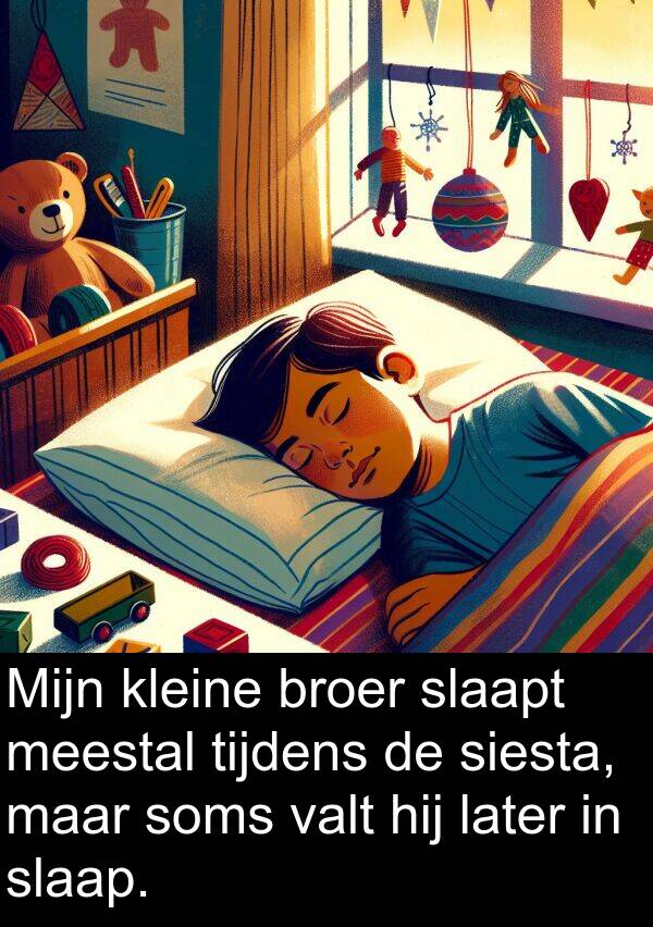 slaapt: Mijn kleine broer slaapt meestal tijdens de siesta, maar soms valt hij later in slaap.