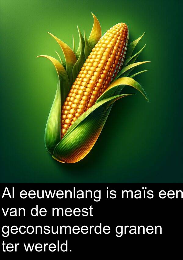 granen: Al eeuwenlang is maïs een van de meest geconsumeerde granen ter wereld.