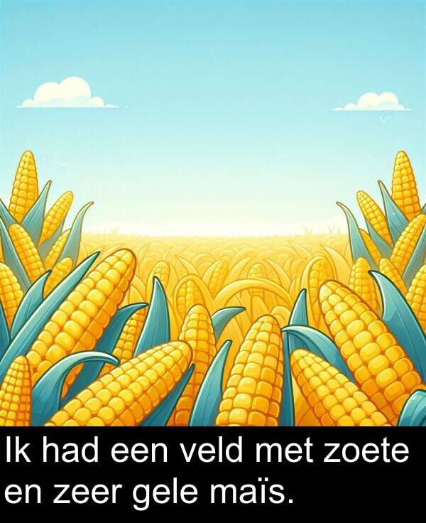 gele: Ik had een veld met zoete en zeer gele maïs.