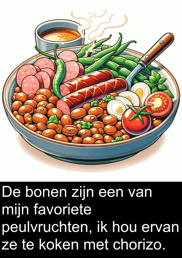 peulvruchten: De bonen zijn een van mijn favoriete peulvruchten, ik hou ervan ze te koken met chorizo.