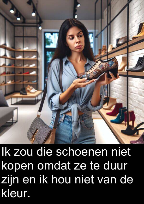 duur: Ik zou die schoenen niet kopen omdat ze te duur zijn en ik hou niet van de kleur.
