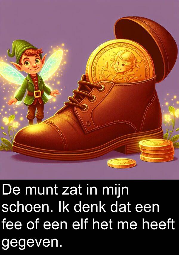 fee: De munt zat in mijn schoen. Ik denk dat een fee of een elf het me heeft gegeven.