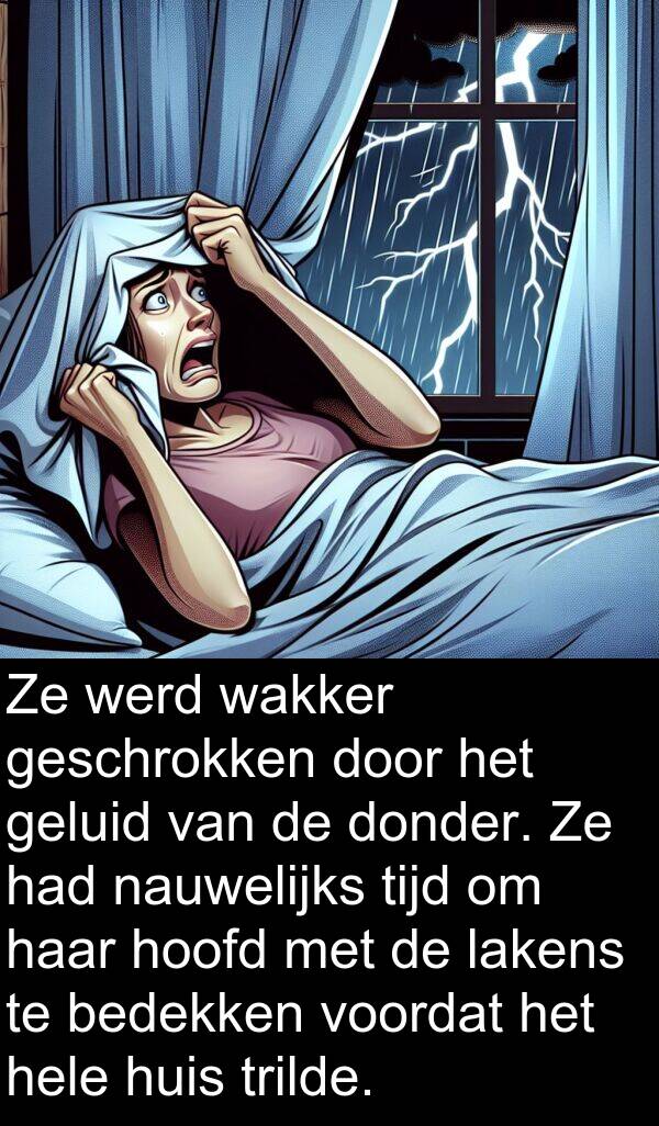 geluid: Ze werd wakker geschrokken door het geluid van de donder. Ze had nauwelijks tijd om haar hoofd met de lakens te bedekken voordat het hele huis trilde.