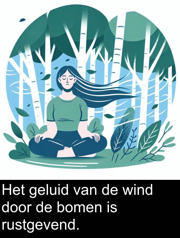 geluid: Het geluid van de wind door de bomen is rustgevend.