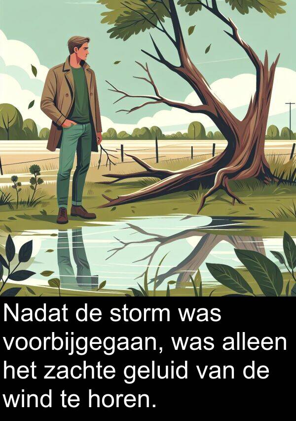 geluid: Nadat de storm was voorbijgegaan, was alleen het zachte geluid van de wind te horen.