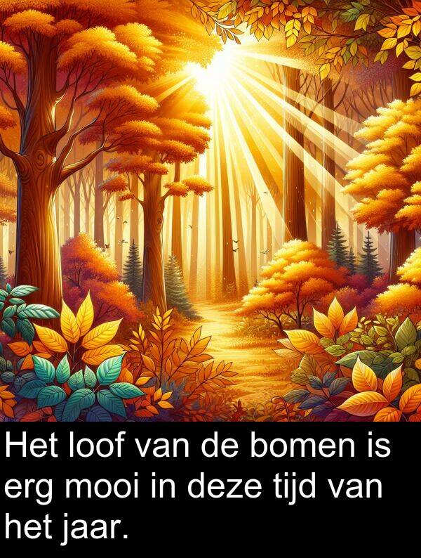 tijd: Het loof van de bomen is erg mooi in deze tijd van het jaar.