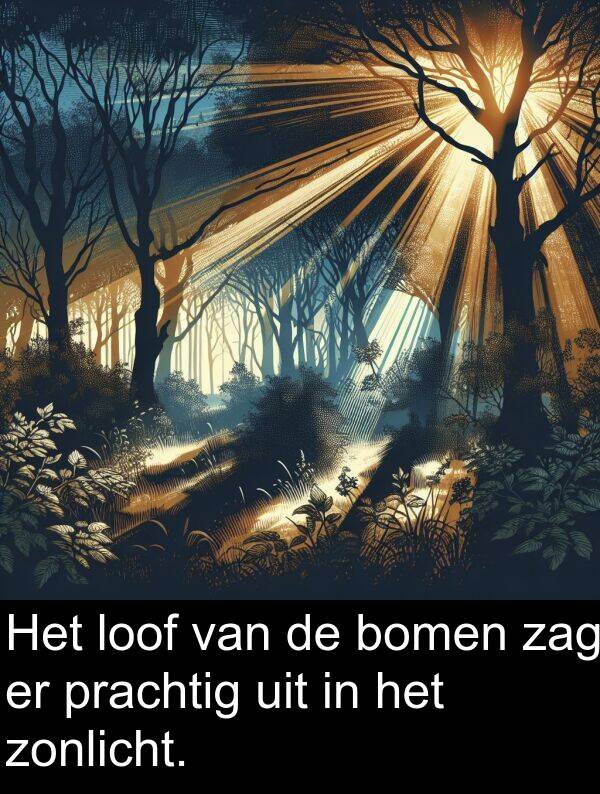 uit: Het loof van de bomen zag er prachtig uit in het zonlicht.