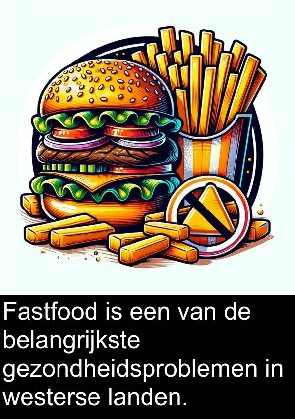 gezondheidsproblemen: Fastfood is een van de belangrijkste gezondheidsproblemen in westerse landen.