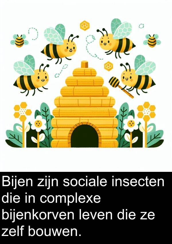 zelf: Bijen zijn sociale insecten die in complexe bijenkorven leven die ze zelf bouwen.