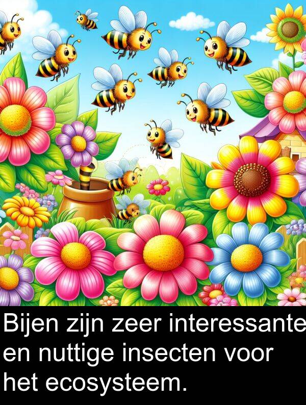 interessante: Bijen zijn zeer interessante en nuttige insecten voor het ecosysteem.