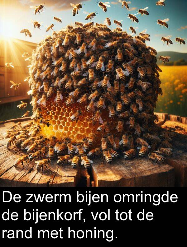 zwerm: De zwerm bijen omringde de bijenkorf, vol tot de rand met honing.