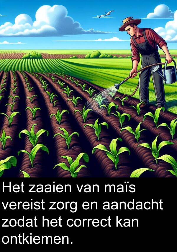 zaaien: Het zaaien van maïs vereist zorg en aandacht zodat het correct kan ontkiemen.