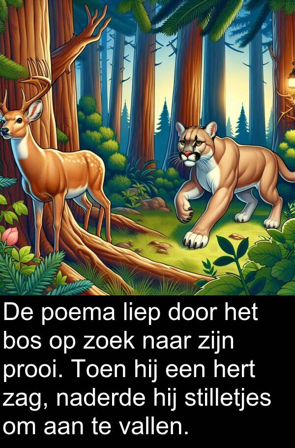 zoek: De poema liep door het bos op zoek naar zijn prooi. Toen hij een hert zag, naderde hij stilletjes om aan te vallen.