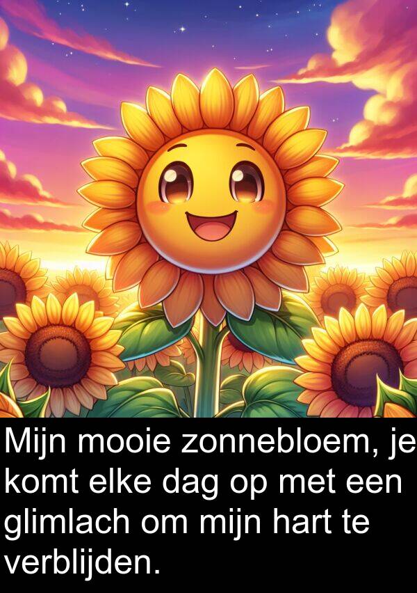 glimlach: Mijn mooie zonnebloem, je komt elke dag op met een glimlach om mijn hart te verblijden.