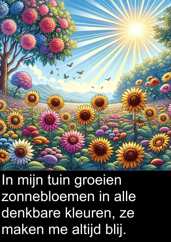 groeien: In mijn tuin groeien zonnebloemen in alle denkbare kleuren, ze maken me altijd blij.