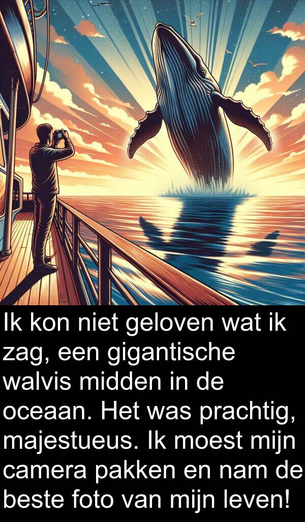 gigantische: Ik kon niet geloven wat ik zag, een gigantische walvis midden in de oceaan. Het was prachtig, majestueus. Ik moest mijn camera pakken en nam de beste foto van mijn leven!